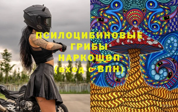 прущий лед Аркадак