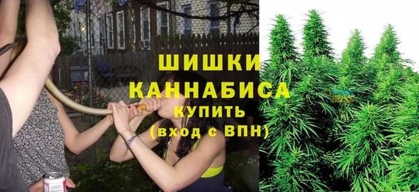 гидропоника Балахна