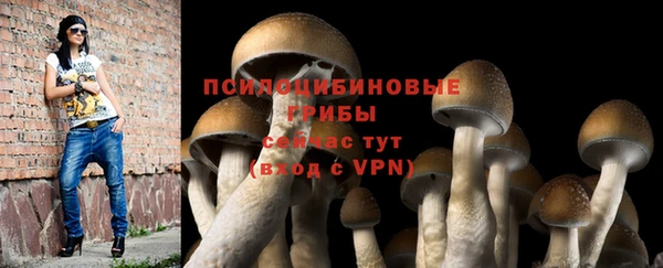 не бодяженный Армянск