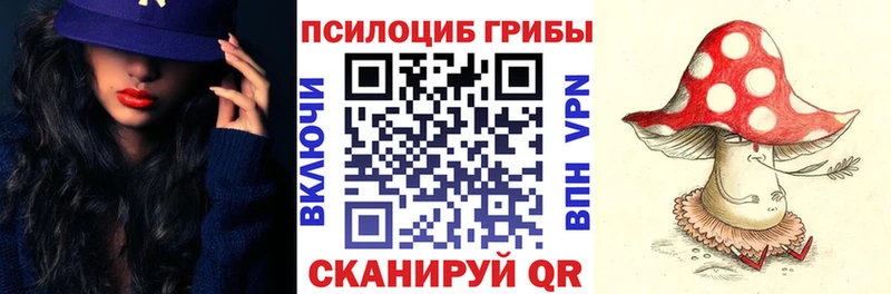 закладки  Можайск  Галлюциногенные грибы Cubensis 